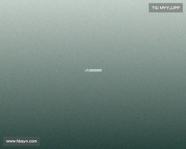 ufc都有哪些赛事名称