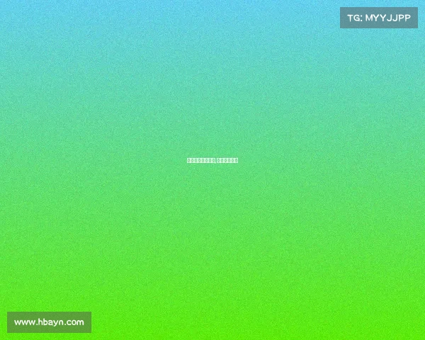 职业拳击赛事回合,职业拳击赛程